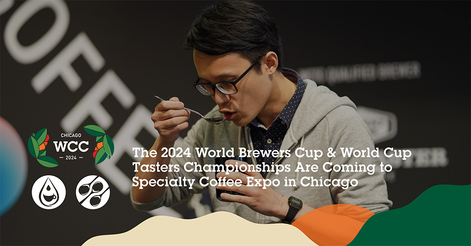 Chicago world coffee championship